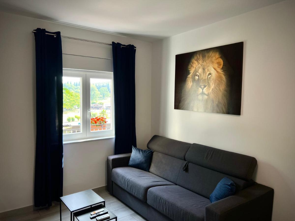 Apartment Rocan